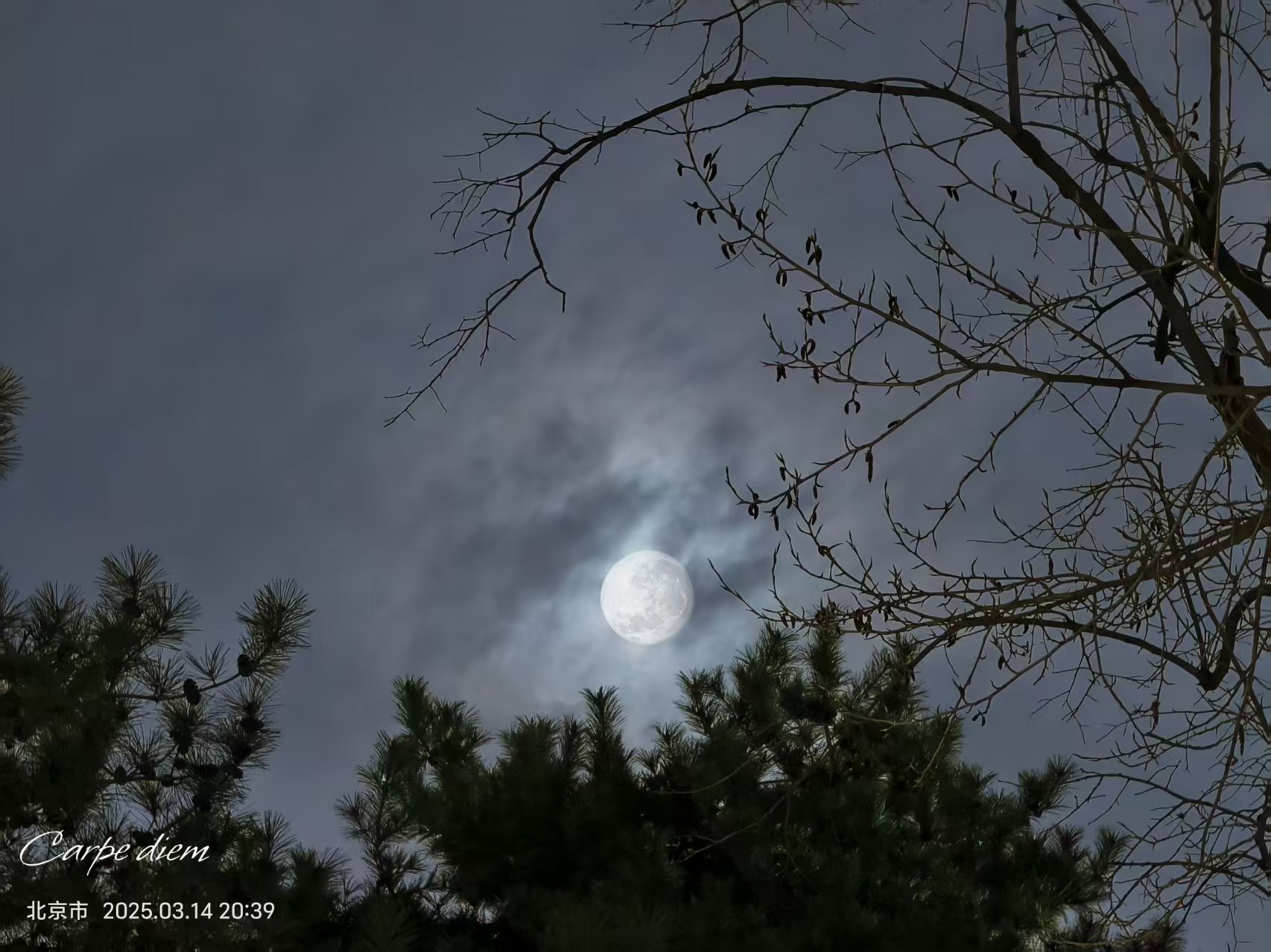 关于水课与自由学习